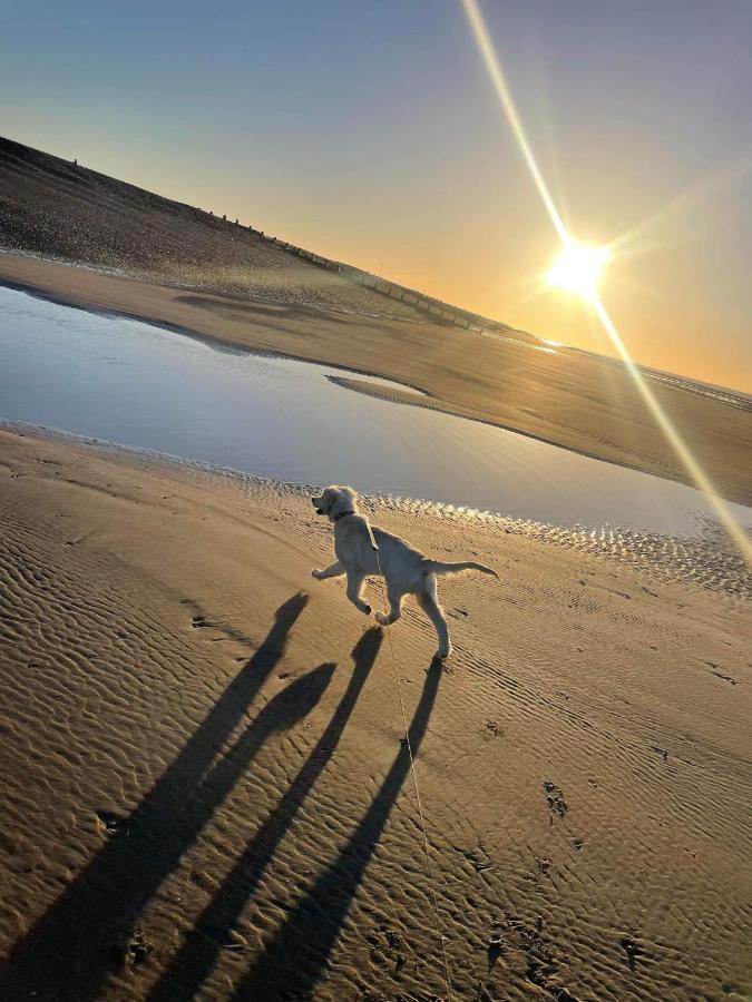 ריי Pet Paradise מראה חיצוני תמונה